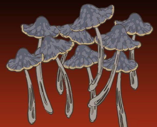 第三章蘑菇拼图画面